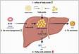 High-fat diet leads to key hepatic miRNAs modulation that may
